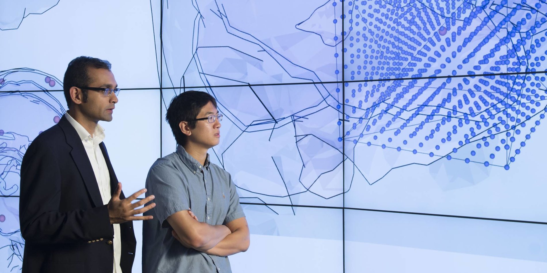 Brain research visualization